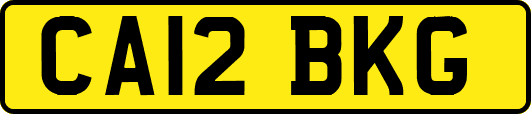 CA12BKG