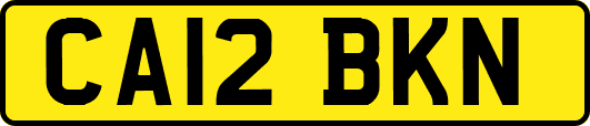 CA12BKN