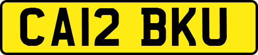 CA12BKU
