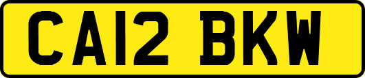 CA12BKW