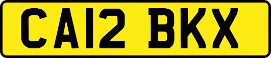 CA12BKX
