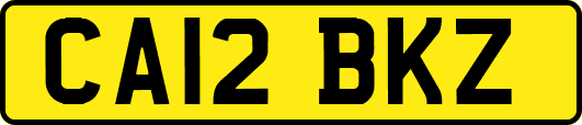 CA12BKZ