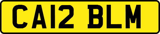 CA12BLM