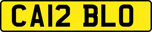 CA12BLO