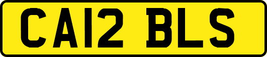 CA12BLS