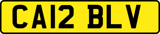 CA12BLV