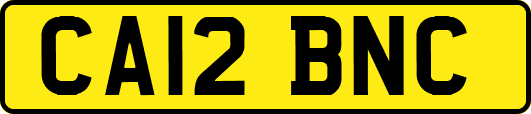 CA12BNC
