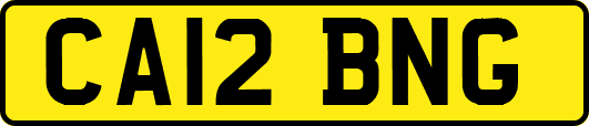 CA12BNG