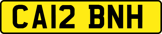 CA12BNH