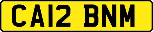 CA12BNM