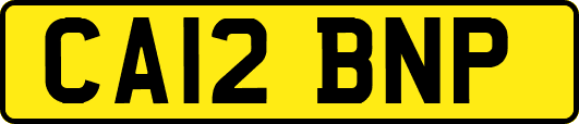 CA12BNP