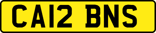 CA12BNS