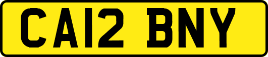 CA12BNY