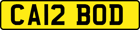 CA12BOD