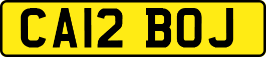 CA12BOJ