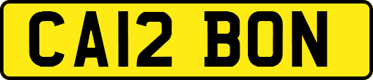 CA12BON
