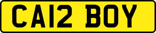 CA12BOY