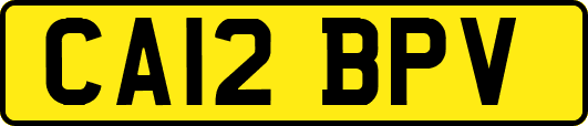 CA12BPV