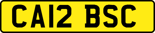 CA12BSC