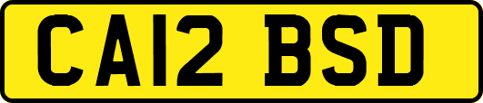 CA12BSD