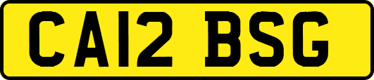 CA12BSG