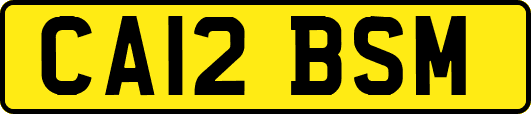 CA12BSM