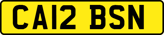 CA12BSN