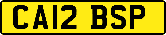 CA12BSP
