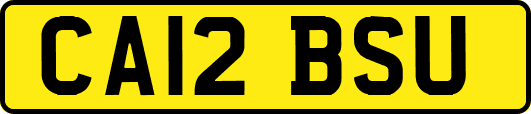 CA12BSU