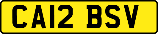 CA12BSV