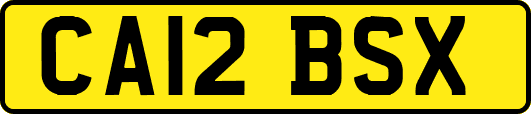 CA12BSX