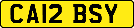 CA12BSY