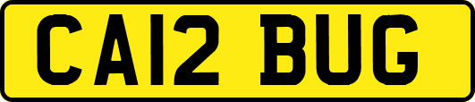 CA12BUG