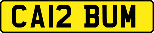 CA12BUM