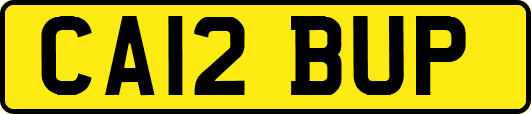 CA12BUP
