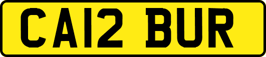 CA12BUR