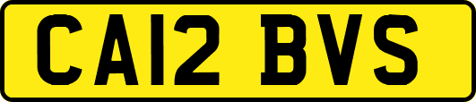 CA12BVS