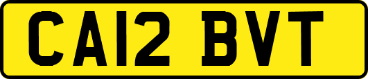 CA12BVT