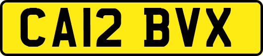 CA12BVX