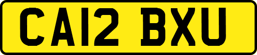 CA12BXU