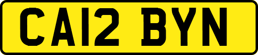 CA12BYN