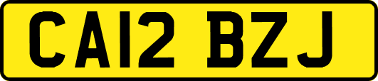 CA12BZJ