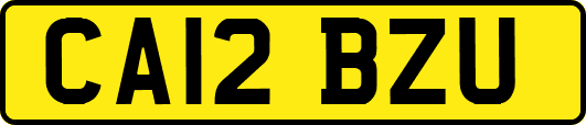 CA12BZU