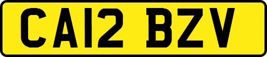 CA12BZV