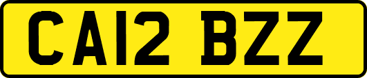 CA12BZZ