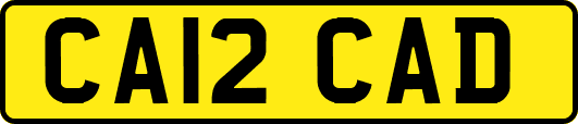 CA12CAD