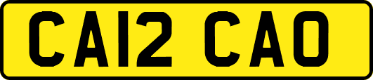 CA12CAO