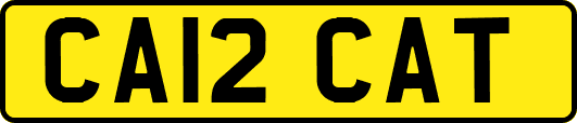 CA12CAT