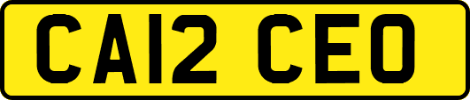 CA12CEO