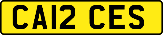 CA12CES